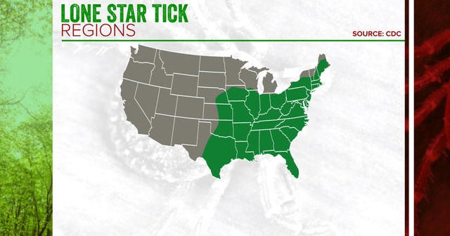 Red meat allergy transmitted by lone star ticks on the rise CBS News