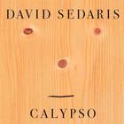 calypso.jpg