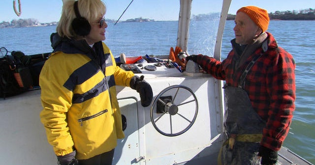 Seaweed farming and its surprising benefits CBS News