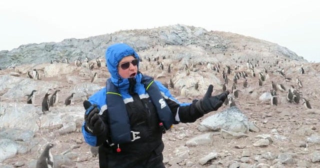 These penguins are not a fan of opera