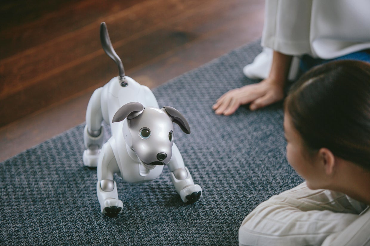 Sony's Aibo robotic puppy returns to U.S. CBS News