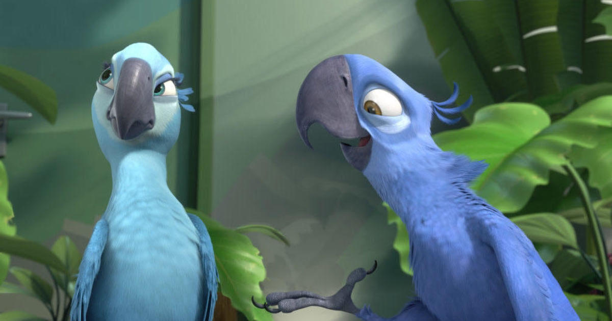 Blue Macaw Parrot That Inspired Rio Is Now Officially Extinct In The Wild Cbs News,Teriyaki Sauce Recipe