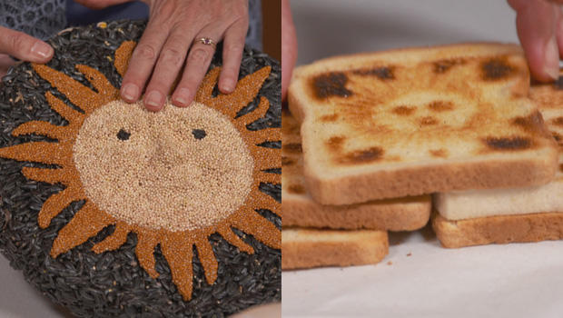 sun-queen-sunday-morning-suns-made-from-birdseed-and-toast-620.jpg 