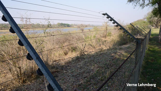 kruger-national-park-electric-fence-620.jpg