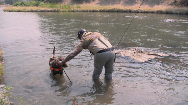 m22-crawford-mpu-fly-fishing-frame-3472.jpg