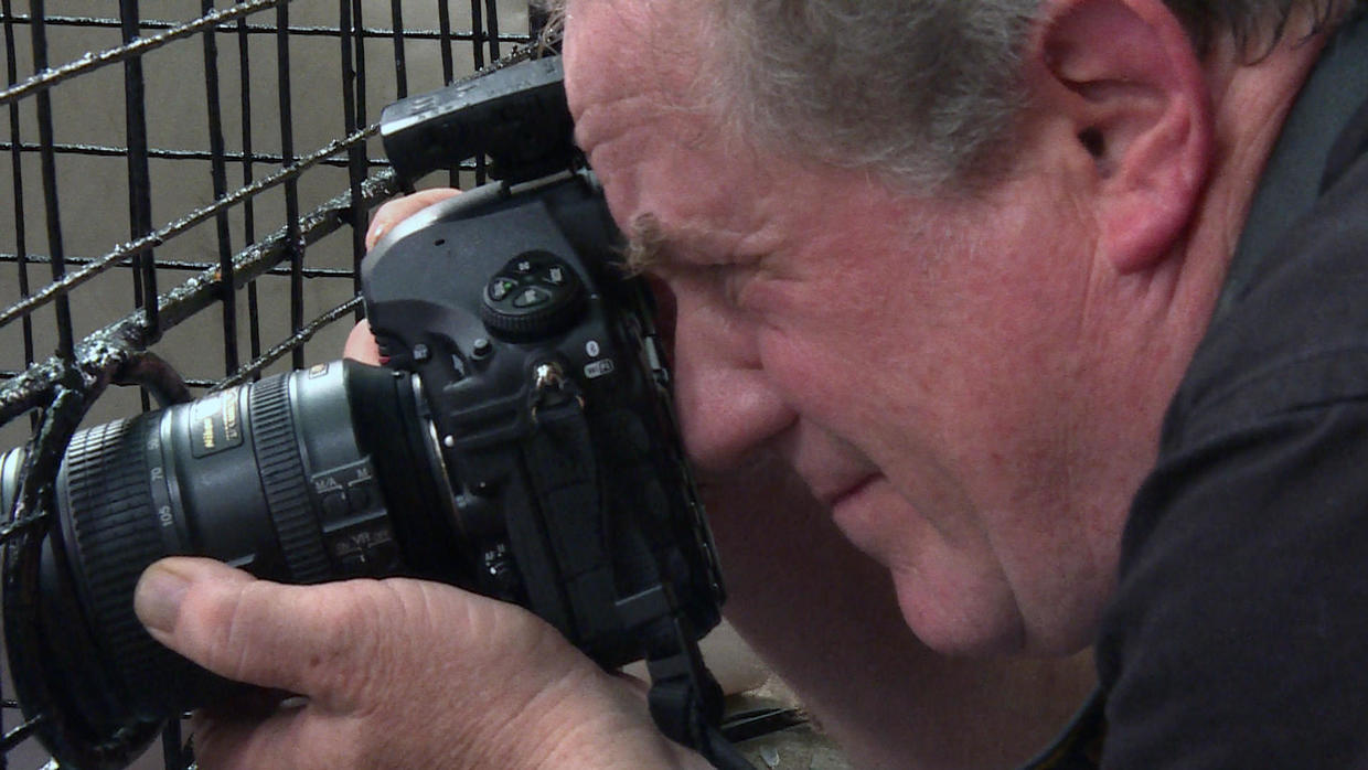 Joel Sartore's Photo Ark: National Geographic Photographer Saving ...