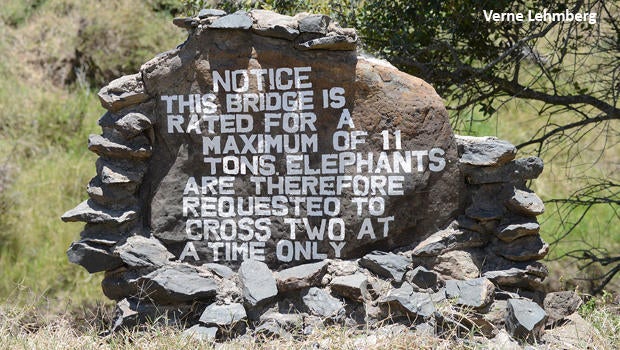 elephants-on-bridge-sign-verne-lehmberg-620.jpg