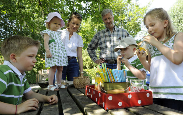 Princess Mathilde, Princess Eleonore, Prince Gabriel, Prince Emmanuel, Prince Philippe, Princess Elisabeth 