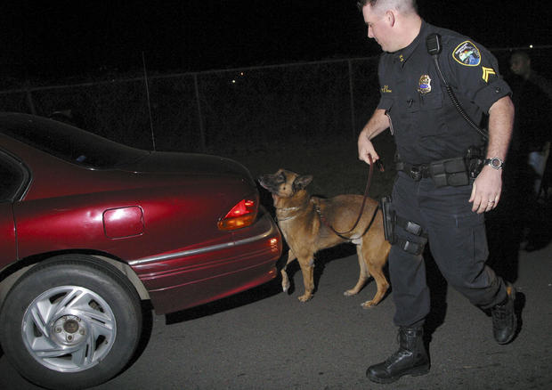 Supreme Court Upholds Use of Drug-Sniffing Dogs In Traffic Stops 