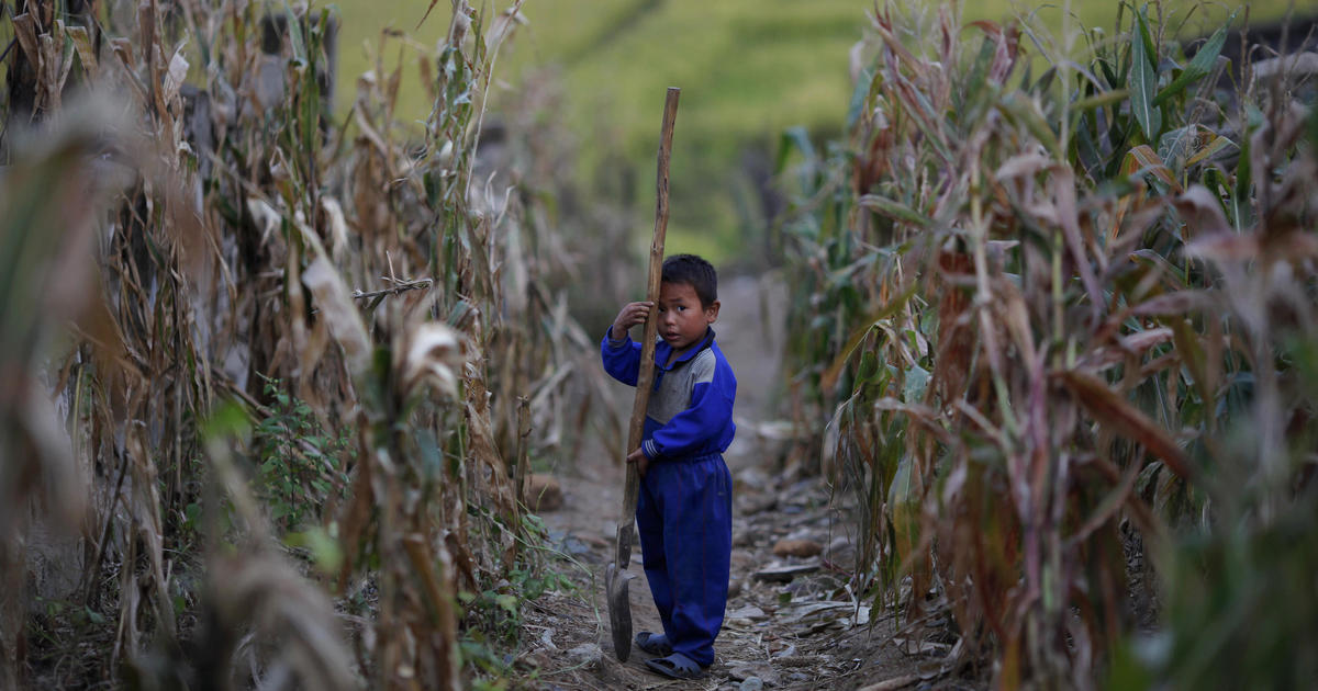 North Korean food shortages leave generations stunted - CBS News