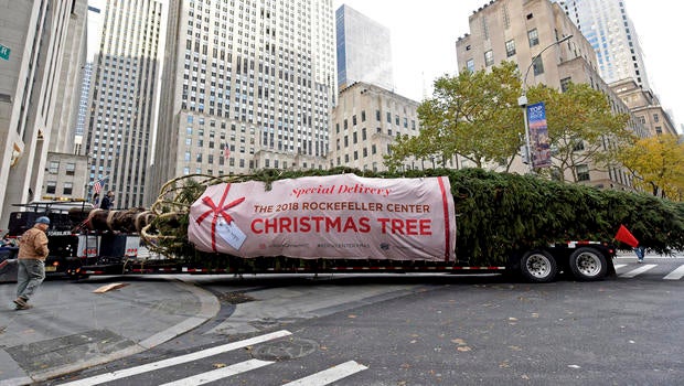 2018 Rockefeller Center Christmas Tree Arrival