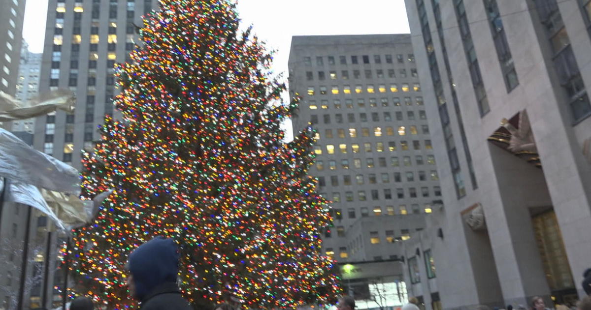 Rockefeller Center Christmas trees get second life after the holidays - CBS News