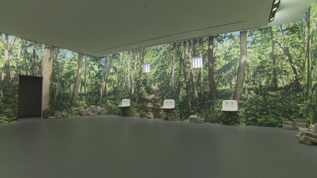 Glenstone: A Maryland museum blending modern art, nature and ...