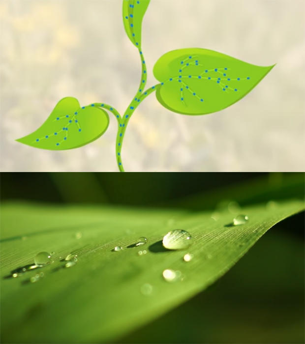 transpiration-through-plant-leaves-nasa-620.jpg 
