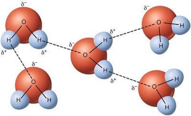 wss-propety-water-molecule-bonding-usgs.jpg 