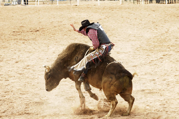 Bull Riding 1 