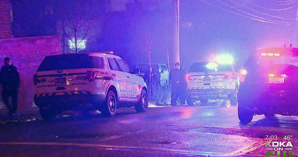 Woman In Custody After Possible Carjacking, Overnight Police Chase