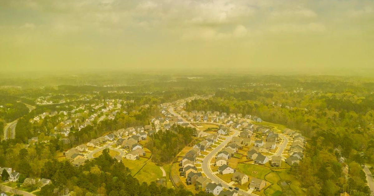 Pollen In North Carolina: Pictures Show Pollen Haze Over North Carolina ...