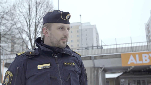 Image result for Sweden's rise of the right and the backlash against immigrants