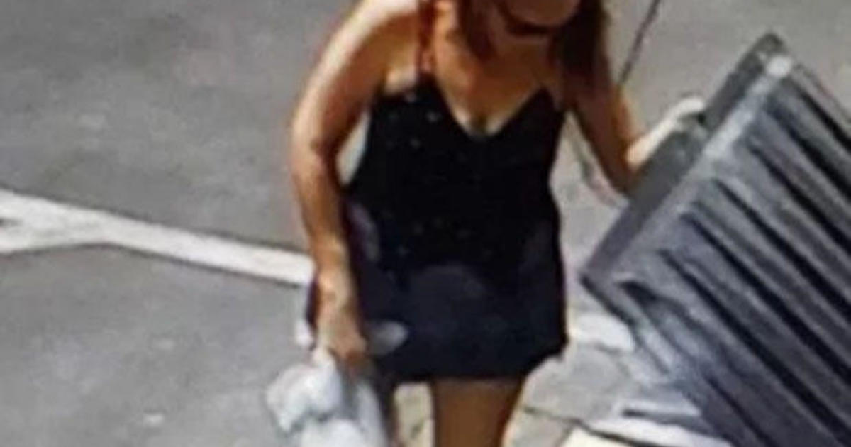 Puppies In Dumpster Coachella Woman Who Allegedly Threw 7 Newborn Puppies Into Southern 5985