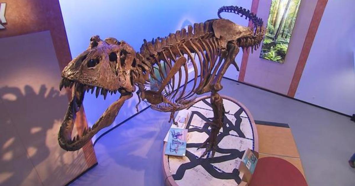 oldest t rex