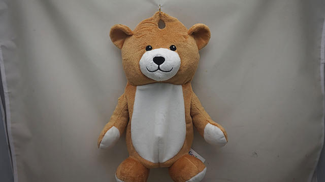 teddy bear with pouch