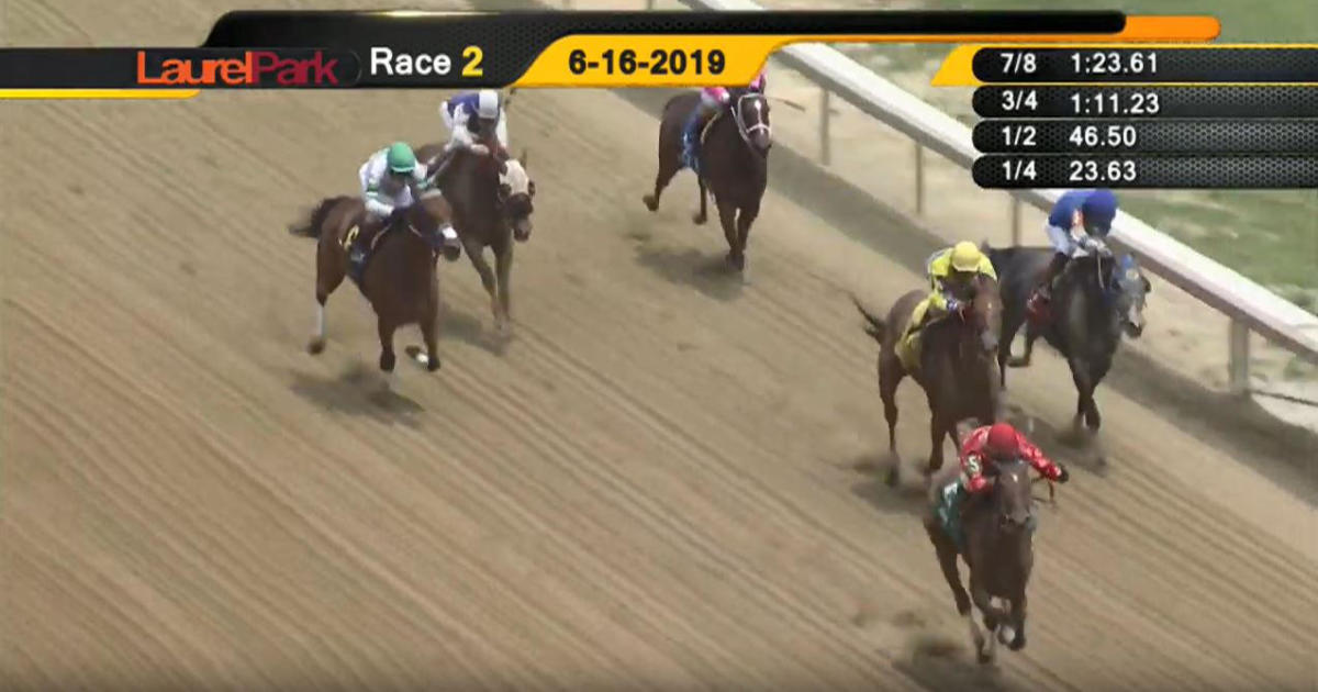 Racehorse deaths Horse collapses and dies during Maryland race just
