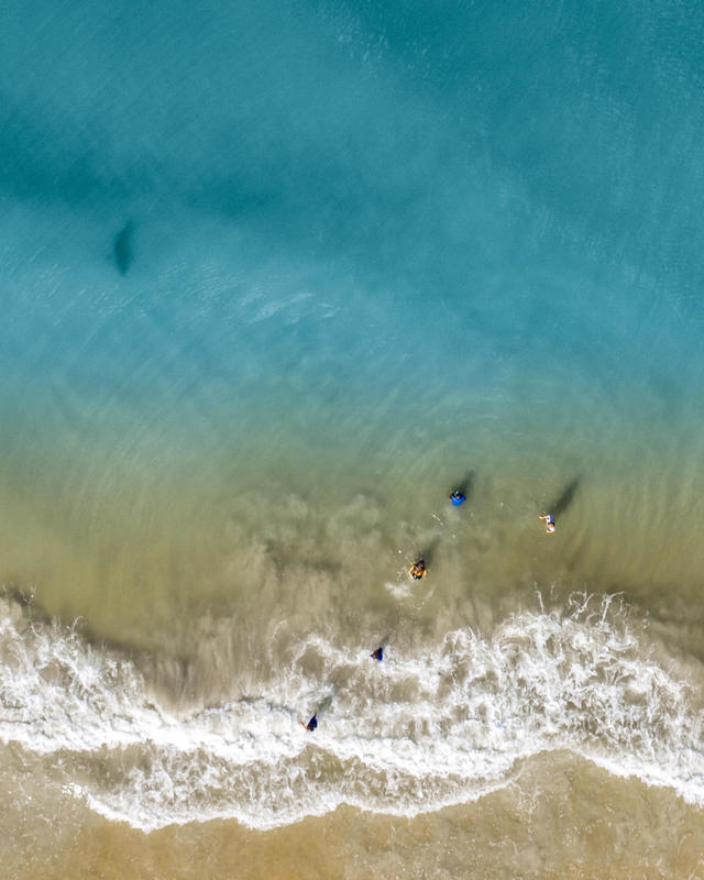 Shark Drone Footage Florida Dad Finds Shark Swimming Near His Children After Taking Photos With Drone Cbs News