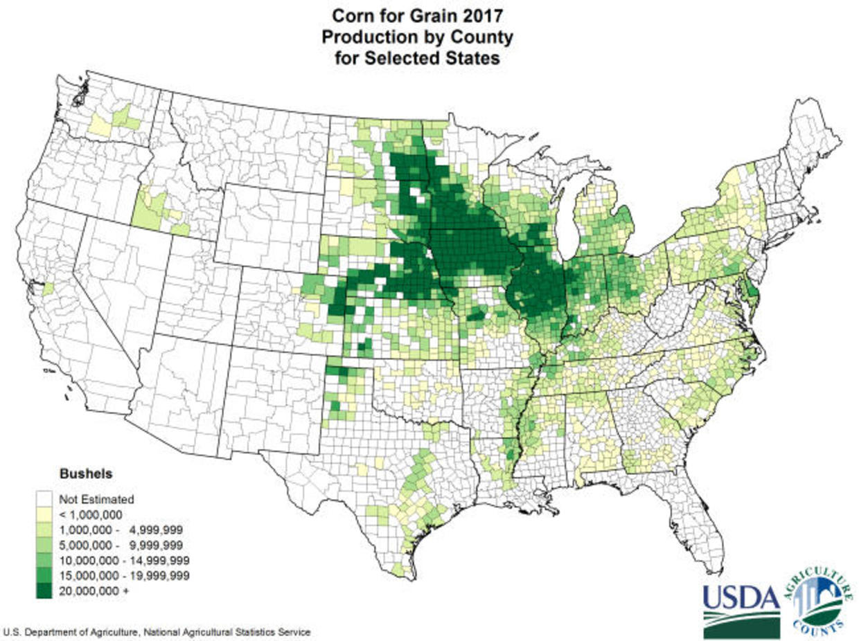 'Corn Sweat' Makes Heat Wave Even More Dangerous