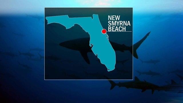 Florida Shark Attacks 3 People Bitten Shark Attacks At New Smyrda Beach Within 24 Hours Or Each Other Cbs News