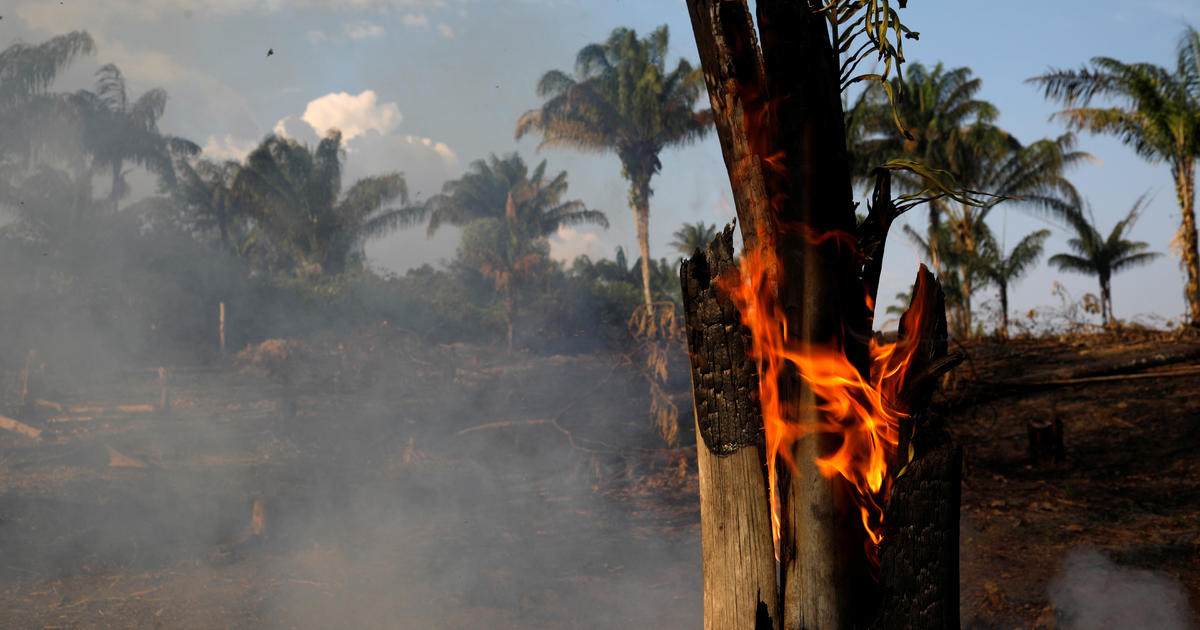 Amazon Rainforest On Fire Parts Of The Amazon Rainforest Are On Fire And Smoke Can Be Seen From Space Cbs News
