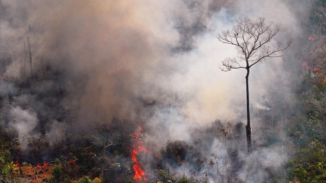 An aerial picture shows a fire raging in the Amazon rainforest about 40 miles from Porto Velho, Brazil, on August 23, 2019.
