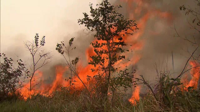 0826-ctm-amazonfires-bojorquez-1920003-640x360.jpg