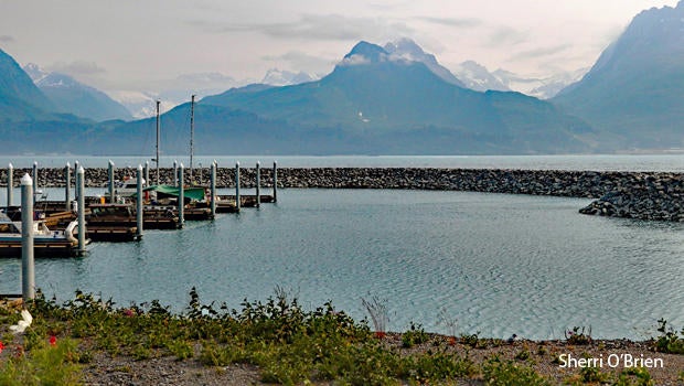 valdez-harbor-alaska-sherri-obrien-620.jpg