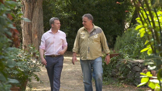 decaro-walk.jpg