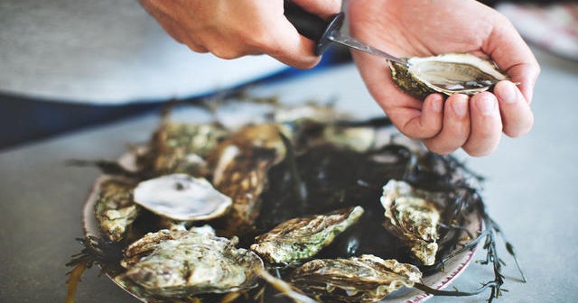 Why oysters may be more expensive and harder to find this fall CBS News