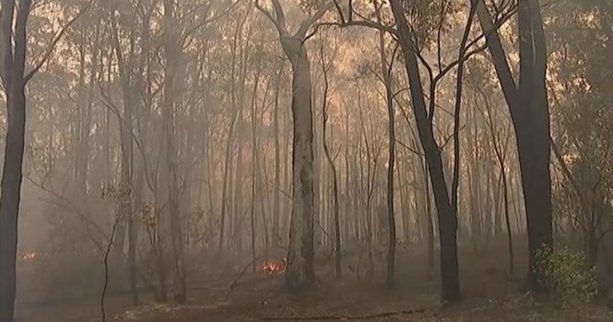 Australia braces for more bushfires; Bolivia's ousted leader claims he's still in charge