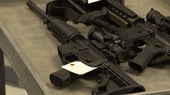 confiscated-guns-florida.jpg