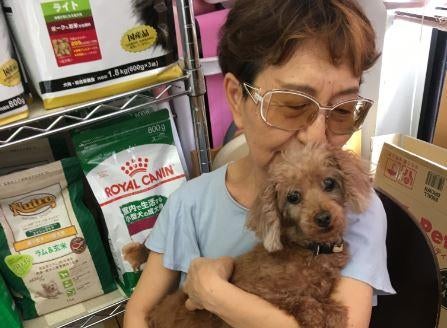 Pet adoption for seniors helping solve two problems in Japan at once