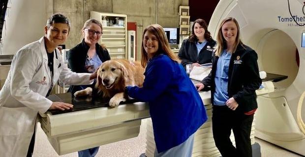 Scout poses with members of UW Veterinary Care's radiation oncology and anesthesia services during the commercial shoot. (Credit: WeatherTech)