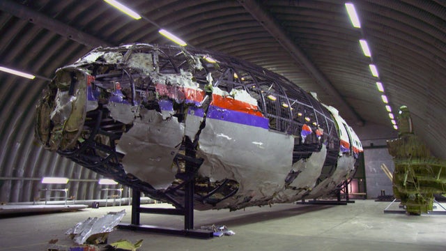mh17article.jpg 