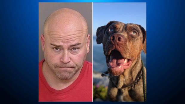 Dog theft suspect Benjamin Friedenberg and dog stolen 