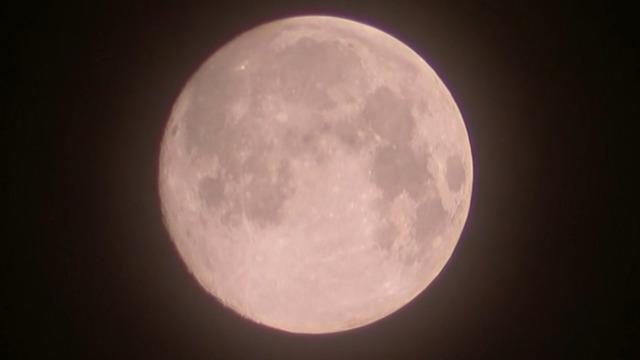 april 26 pink moon
