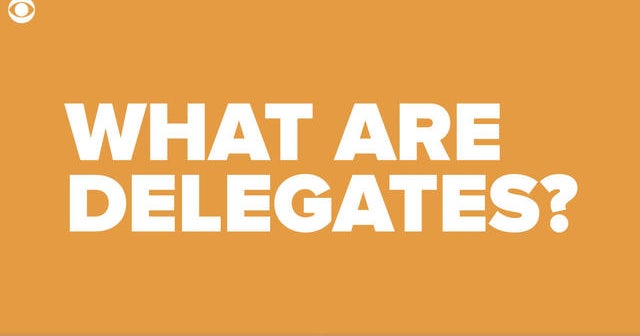 The Democratic delegate process explained, in one minute CBS News