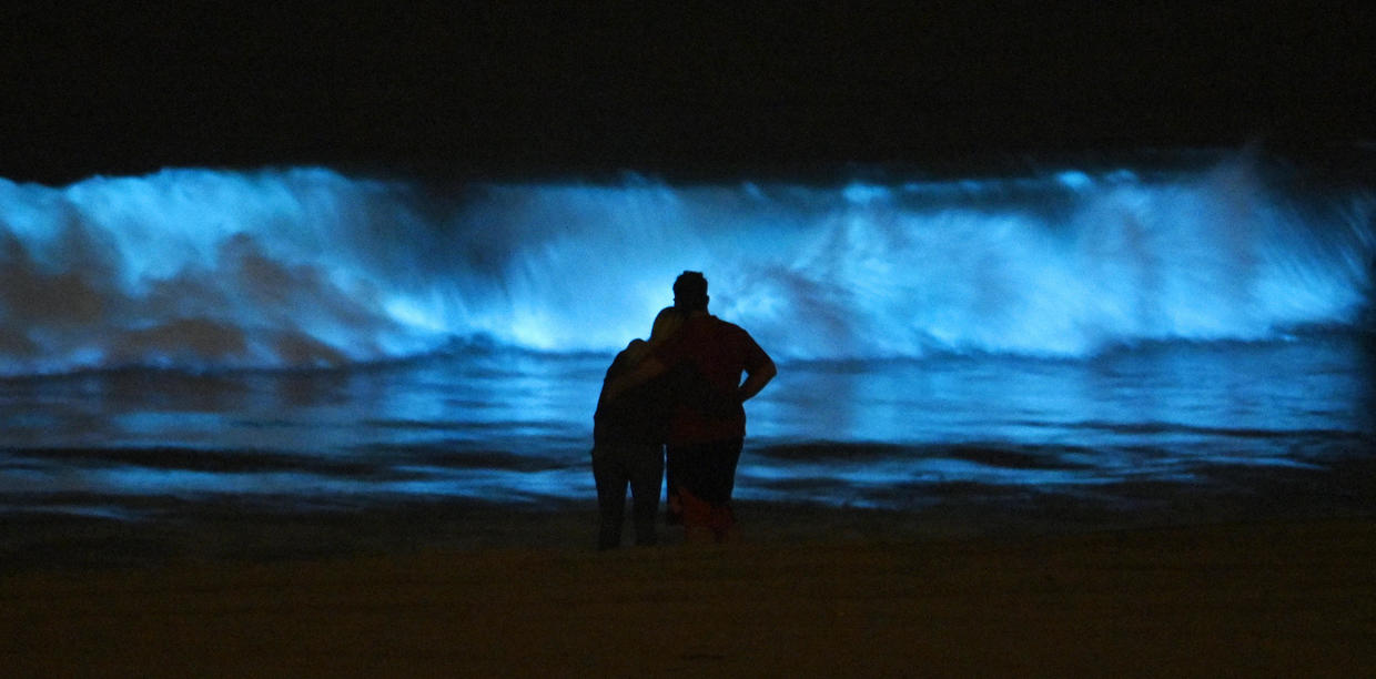 Bioluminescent glow in ocean draws visitors — and more police — to
