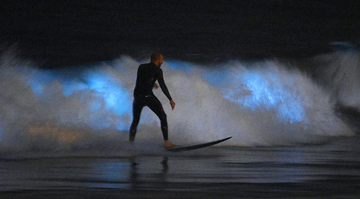 Bioluminescent glow in ocean draws visitors — and more police — to