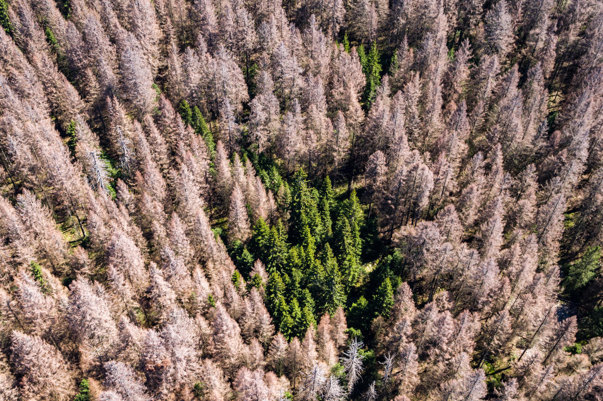 Stunning Photos Of Climate Change