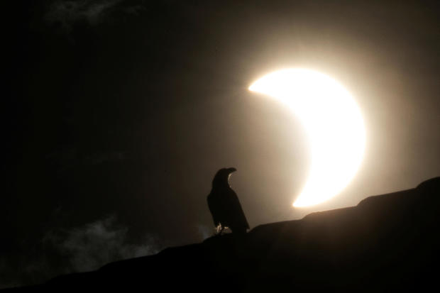 A crow stands on a roof as a partial solar eclipse is observed in Nairobi 