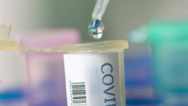 covid-vaccine-development-promo.jpg 
