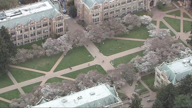 uw-quad.jpg